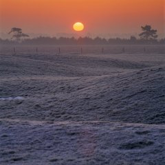 Stonehenge Landscape Tours