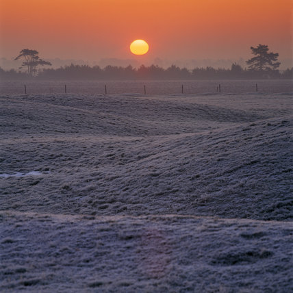 Stonehenge Landscape Tours