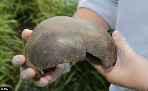 Remarkable discovery: Nick Daffern, senior archaeologist with Worcestershire Archaeology holds the 5,000-year-old skull which has baffled experts