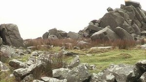 Thousands of stones along the Carn Menyn ridge were tested and a high proportion were found to "ring" when struck