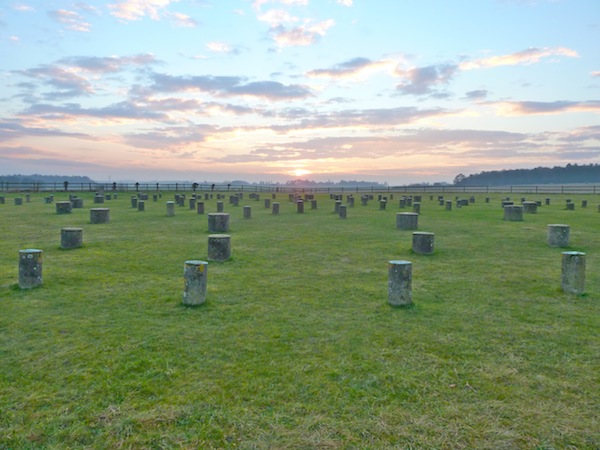 woodhenge-winter-solstice-sunset
