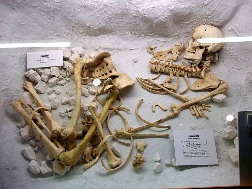 800px-stonehenge_archer_-_salisbury_and_south_wiltshire_museum